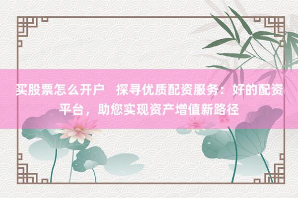 买股票怎么开户   探寻优质配资服务：好的配资平台，助您实现资产增值新路径