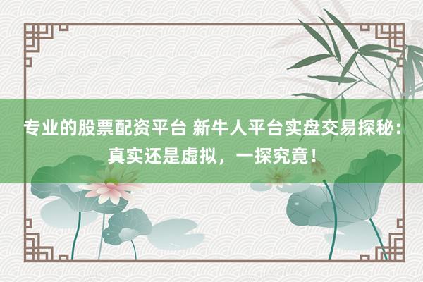 专业的股票配资平台 新牛人平台实盘交易探秘：真实还是虚拟，一探究竟！