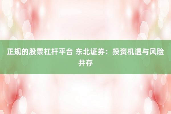 正规的股票杠杆平台 东北证券：投资机遇与风险并存