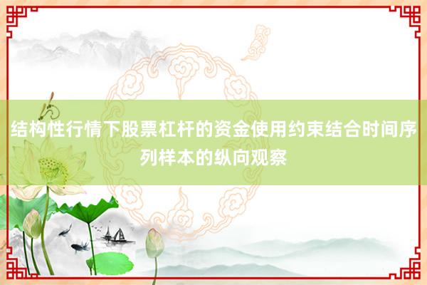 结构性行情下股票杠杆的资金使用约束结合时间序列样本的纵向观察