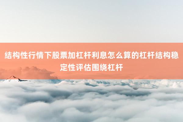 结构性行情下股票加杠杆利息怎么算的杠杆结构稳定性评估围绕杠杆