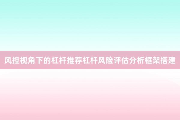 风控视角下的杠杆推荐杠杆风险评估分析框架搭建