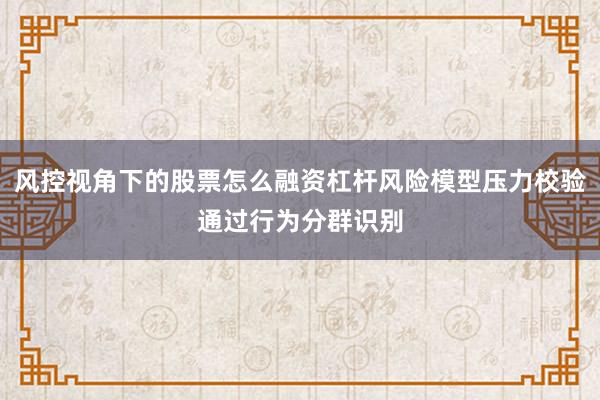 风控视角下的股票怎么融资杠杆风险模型压力校验通过行为分群识别
