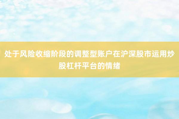 处于风险收缩阶段的调整型账户在沪深股市运用炒股杠杆平台的情绪