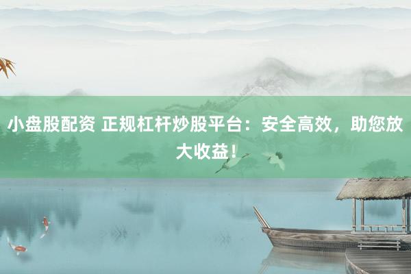 小盘股配资 正规杠杆炒股平台：安全高效，助您放大收益！