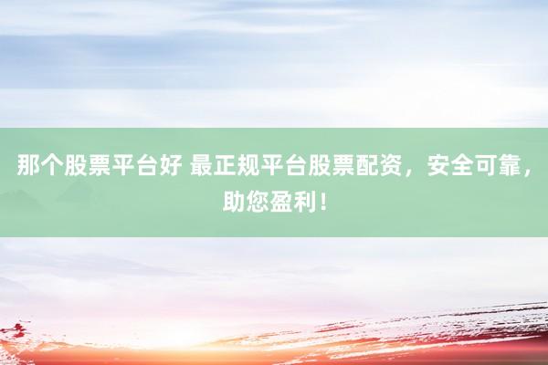 那个股票平台好 最正规平台股票配资，安全可靠，助您盈利！