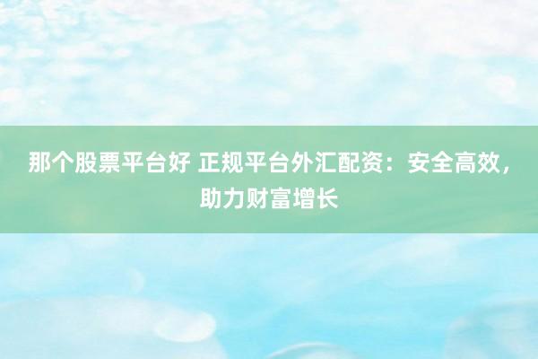 那个股票平台好 正规平台外汇配资：安全高效，助力财富增长